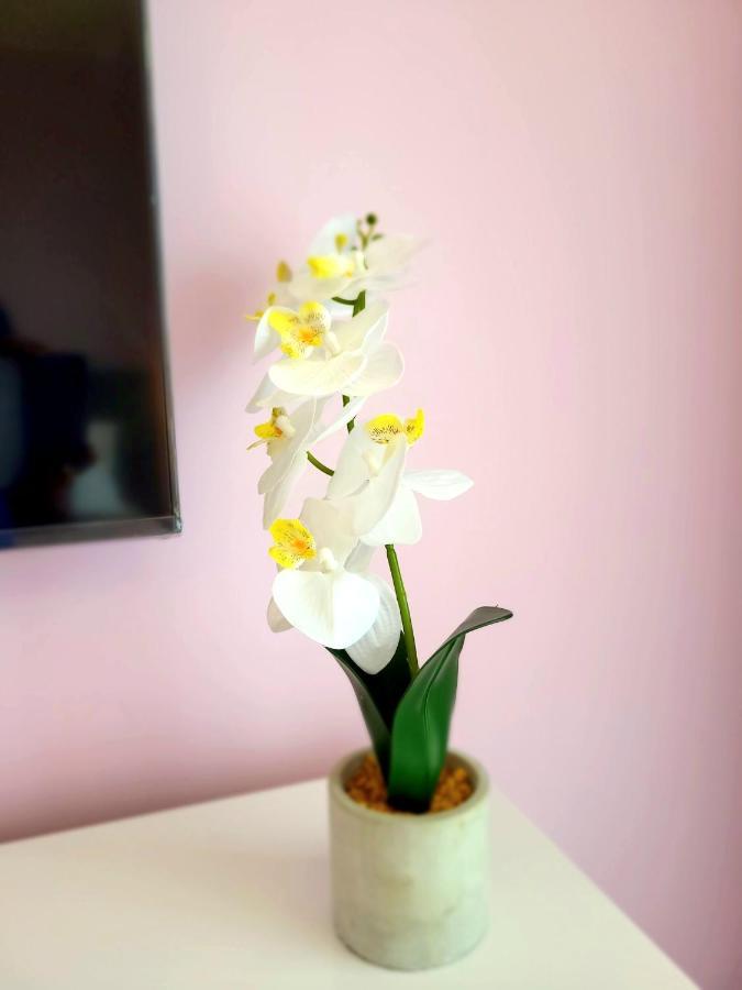 Eksclusive Apartment Paradise Down Town 6 Persons 3 Rooms Cracovia Esterno foto